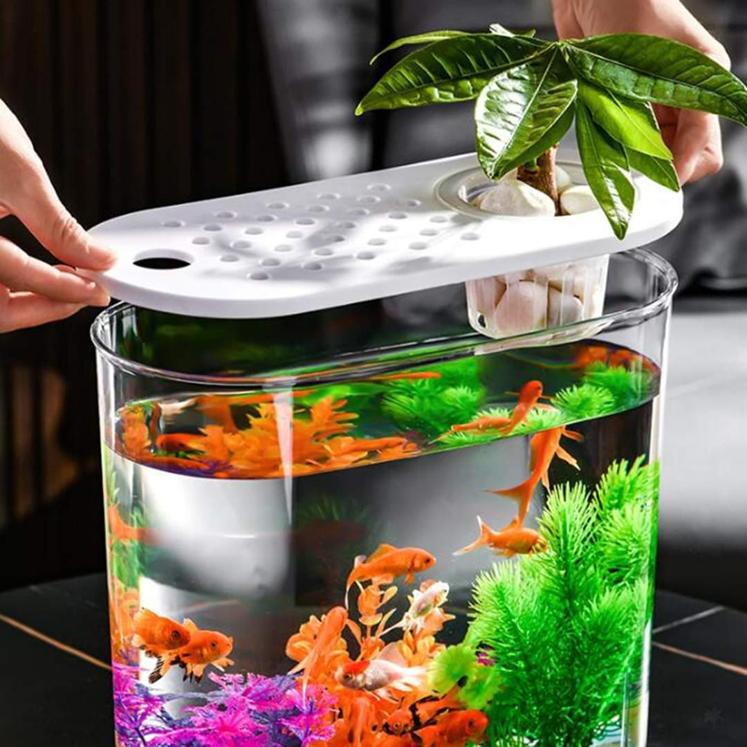 Plastic Transparent Small Fish Tank Aquarium